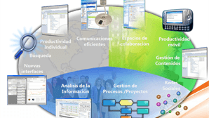 Productividad Diaria
