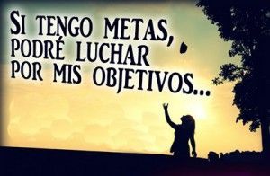 Metas y objetivos para un negocio mlm